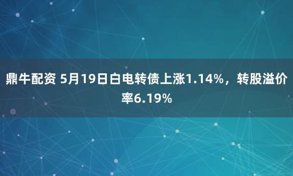 鼎牛配资 5月19日白电转债上涨1.14%,转股溢价率6.19%