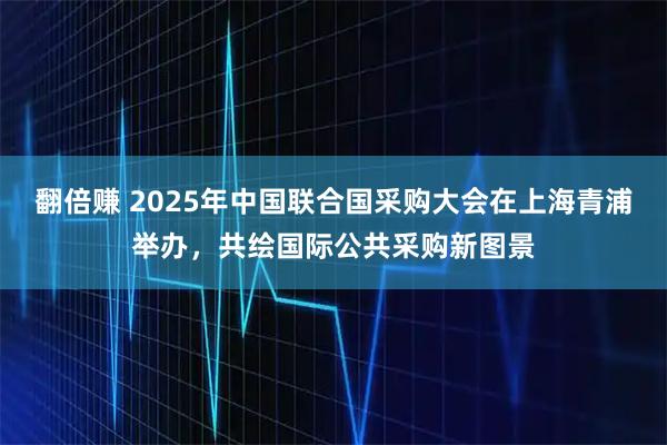 翻倍赚 2025年中国联合国采购大会在上海青浦举办,共绘国际公共采购新图景