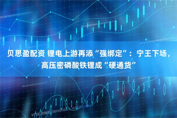 贝思盈配资 锂电上游再添“强绑定”:宁王下场,高压密磷酸铁锂成“硬通货”