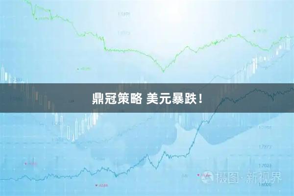 鼎冠策略 美元暴跌!