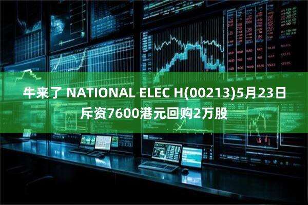 牛来了 NATIONAL ELEC H(00213)5月23日斥资7600港元回购2万股
