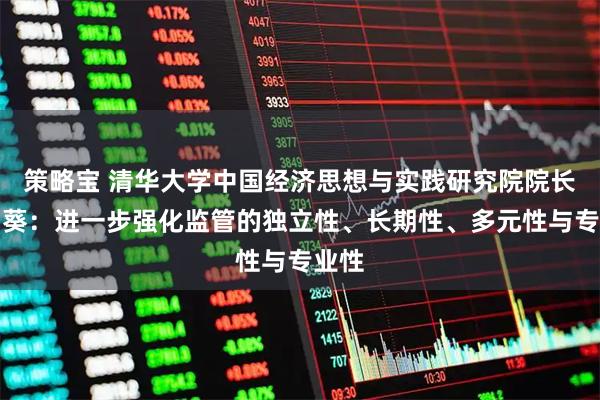 策略宝 清华大学中国经济思想与实践研究院院长李稻葵：进一步强化监管的独立性、长期性、多元性与专业性