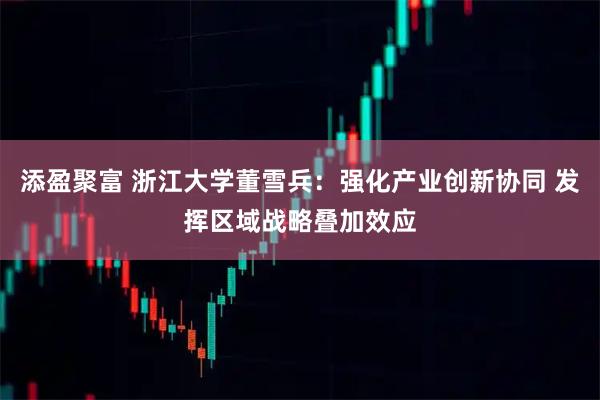 添盈聚富 浙江大学董雪兵：强化产业创新协同 发挥区域战略叠加效应