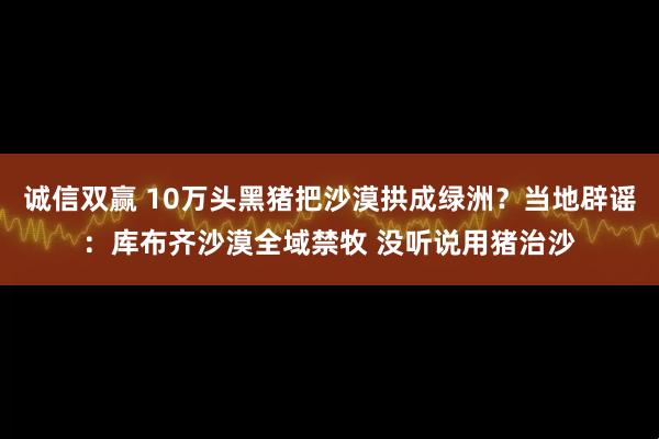 诚信双赢 10万头黑猪把沙漠拱成绿洲？当地辟谣：库布齐沙漠全域禁牧 没听说用猪治沙